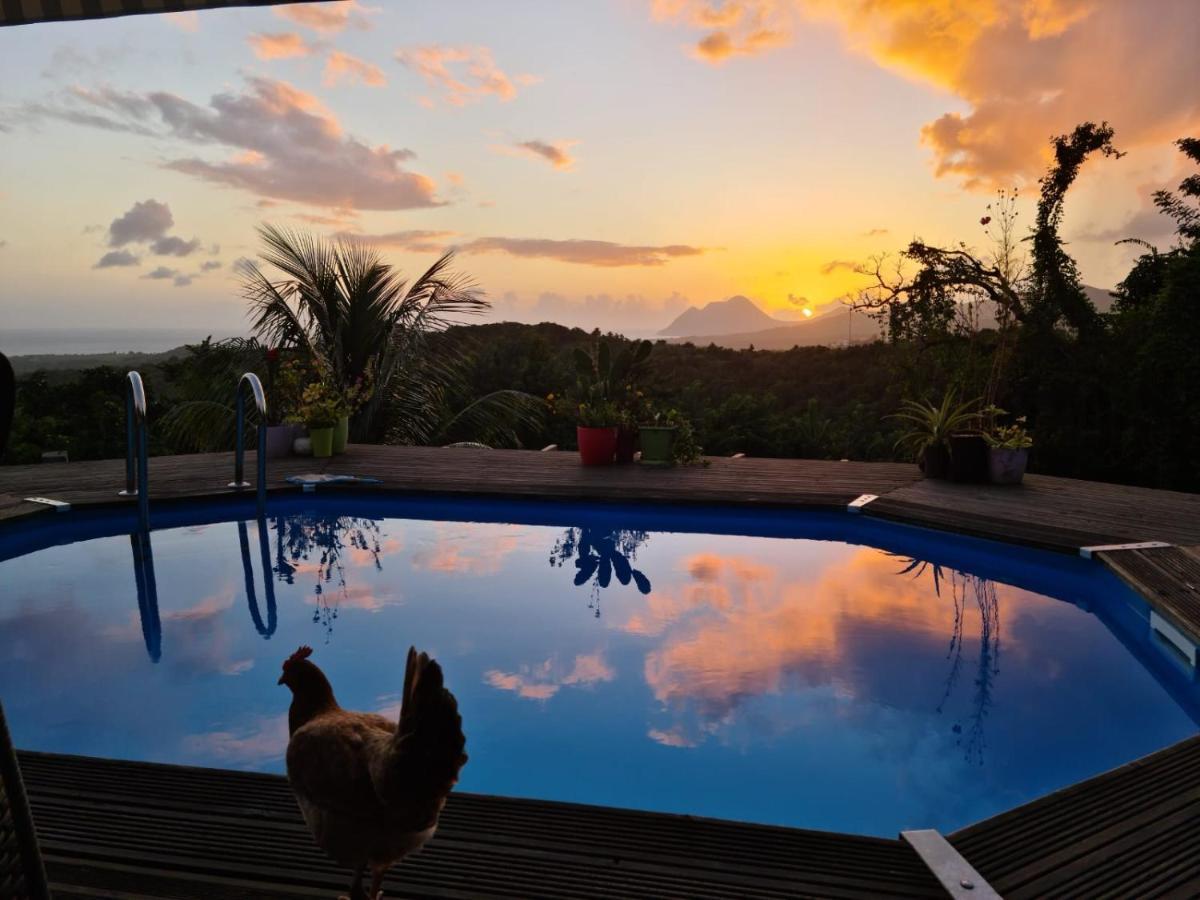 Chambre chez l'habitant avec piscine privative et vue panoramique sur la mer des caraïbes Desmarinieres Extérieur photo